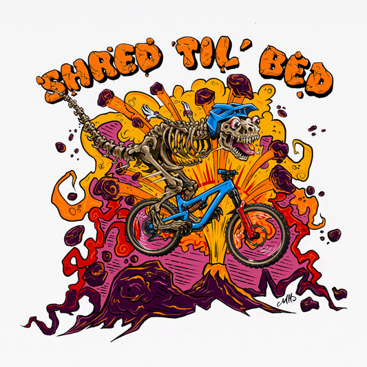 T-SHIRT SHRED TIL BED DIALLED DINO POUR ENFANTS