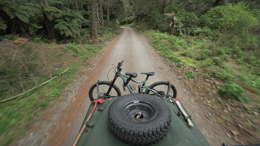 Une promenade en famille se transforme en une aventure en navette