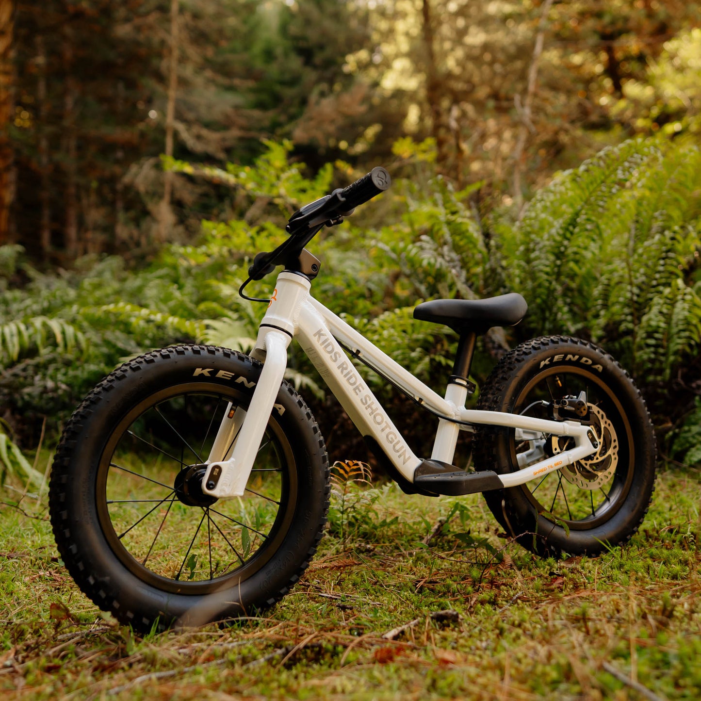 DRAISIENNE TOUT-TERRAIN DIRT HERO