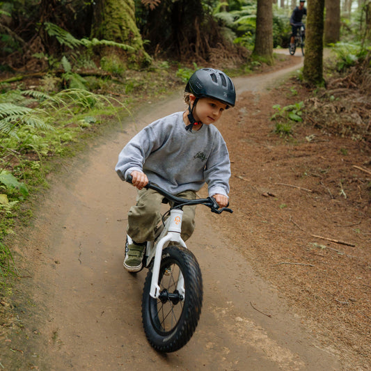 DRAISIENNE TOUT-TERRAIN DIRT HERO